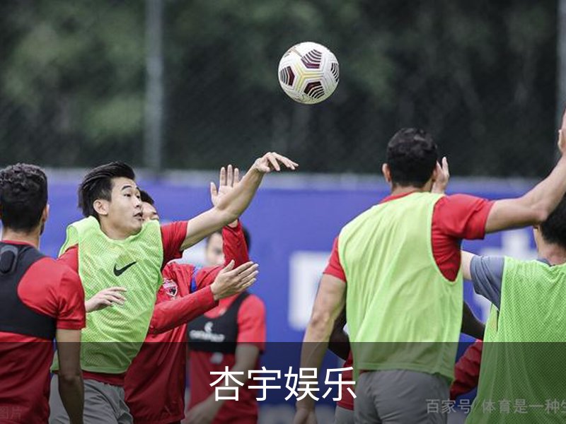 杏宇娱乐简介